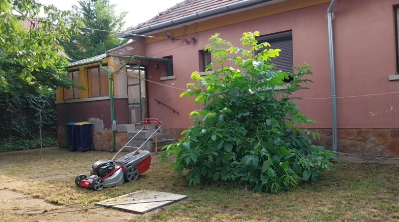 Diófa és fűnyíró