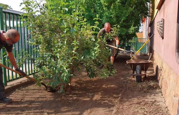 Előkert
