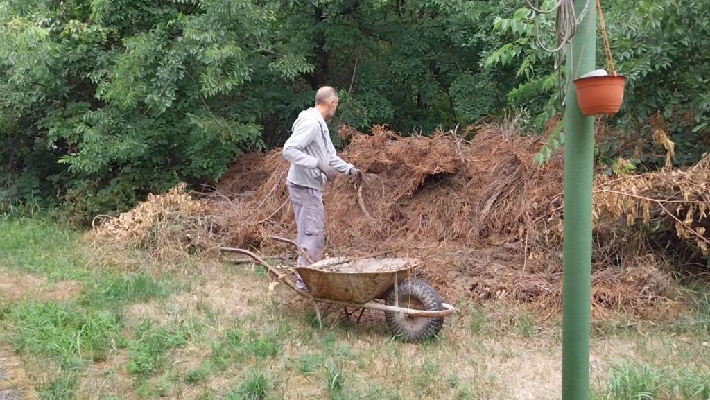 Nagy kupac ág a hátsó kertben