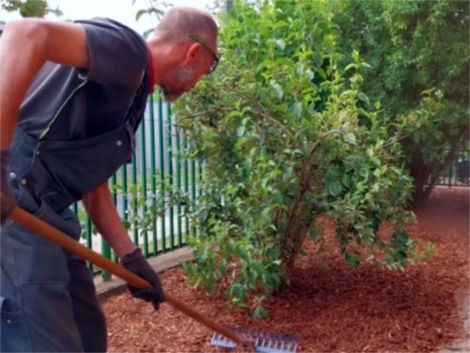 tereprendezes-javitott